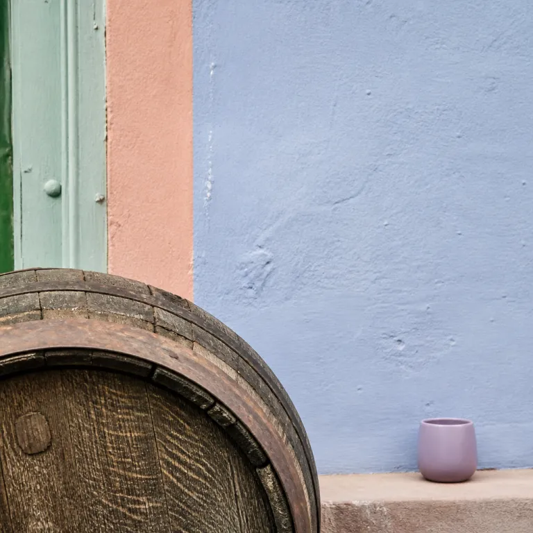 New wine, old ritual: planning a stay around Eguisheim's Fete du Vin Nouveau